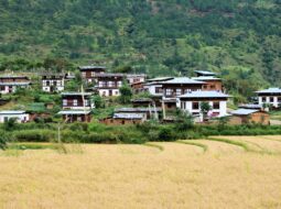 rural property development