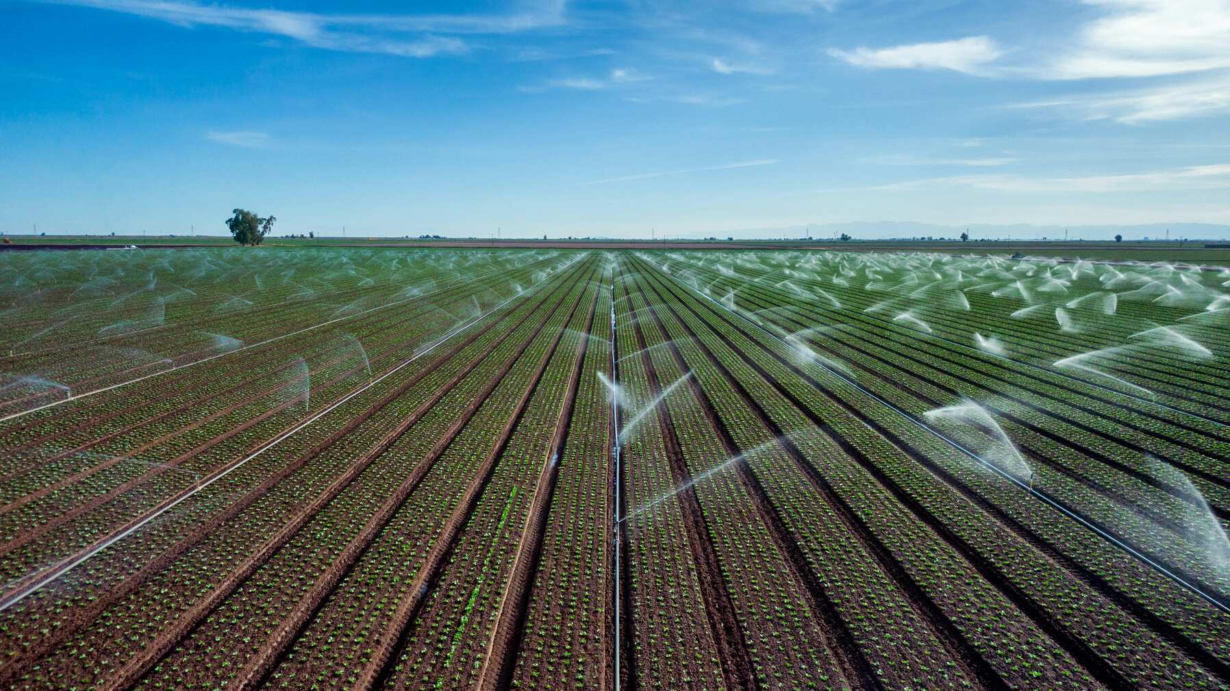 Irrigation Techniques